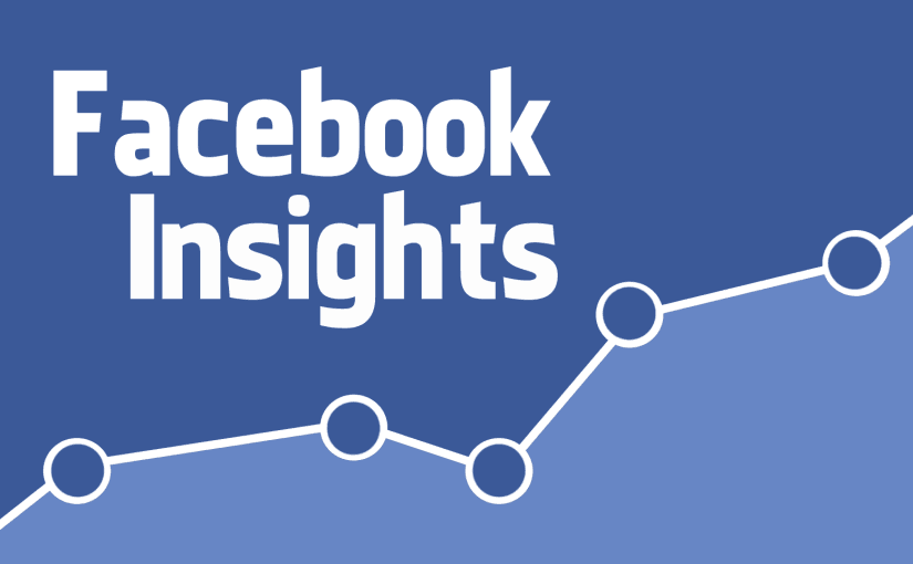 Facebook Introduces New Advertising Audience Insights Rapid Purple